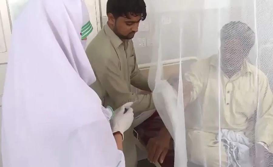 پنجاب میں ڈینگی بخار کے باعث چار افراد زندگی کی بازی ہار گئے
