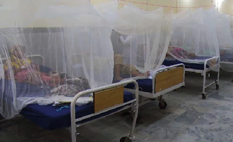 ڈینگی کے وار لگاتار، خیبرپختونخوا میں مزید 21 مریض رپورٹ