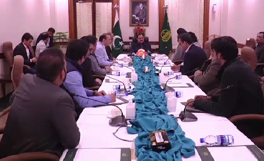 وزیراعلی پنجاب سے بیرون ملک مقیم پاکستانیوں کے وفد کی ملاقات، مسائل اور سفارشات سے آگاہ کیا