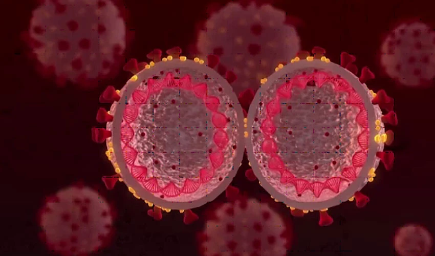 کورونا وائرس کے اومیکرون ویرنٹ کے پھیلاؤ میں تیزی