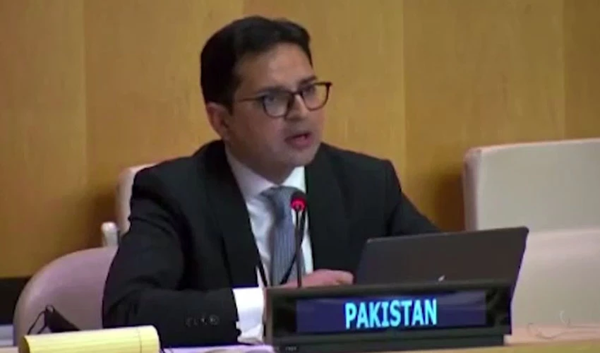 پاکستان کا سلامتی کونسل سے دہشتگردی، مالی معاونت کے مرتکب بھارت پر سخت پابندیوں کا مطالبہ