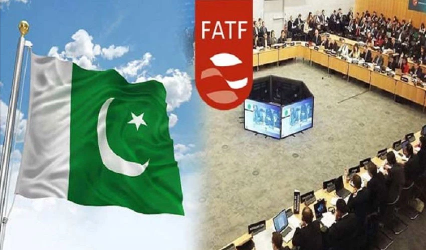 پاکستان نے فیٹف کو 413 اینٹی منی لانڈرنگ کیسز پر رپورٹ پیش کردی