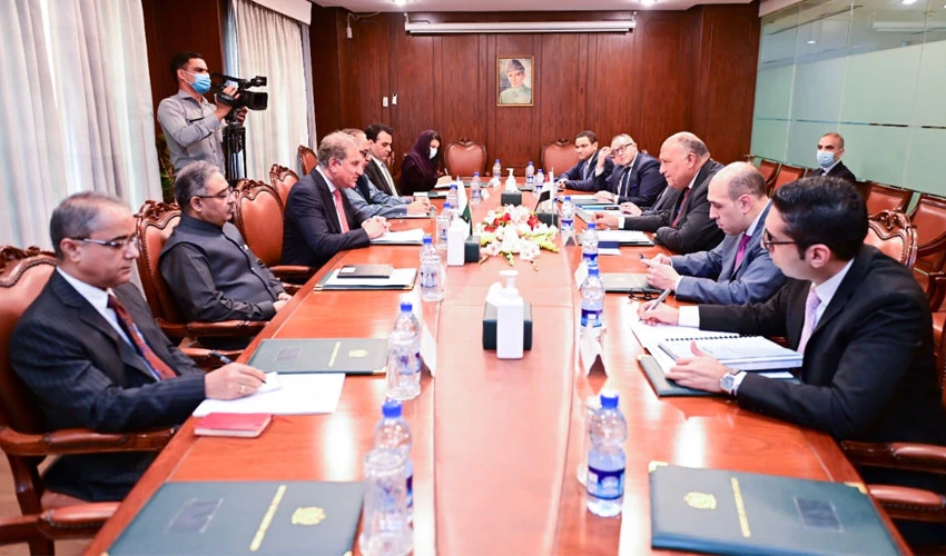 مصری وزیر خارجہ کی شاہ محمود سے ملاقات، دو طرفہ تعلقات پر تبادلہ خیال