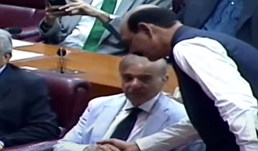 شہباز شریف 174 ووٹ لیکر پاکستان کے 23 ویں وزیراعظم منتخب