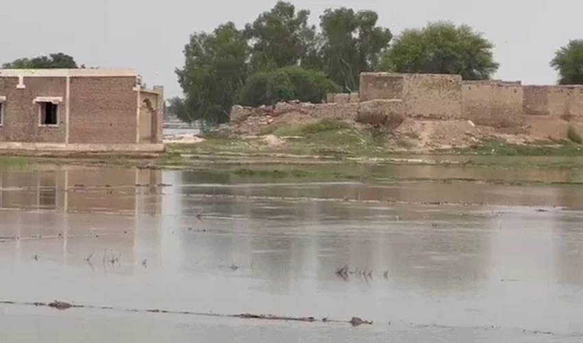 دریائے سندھ میں دادو مورو پل کے مقام پر پانی کی سطح میں اضافہ، 100 سے زائد دیہات زیر آب