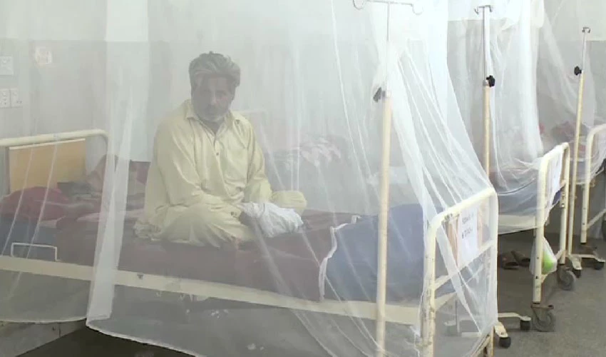 اسلام آباد میں ڈینگی سے مزید 77 افراد متاثر