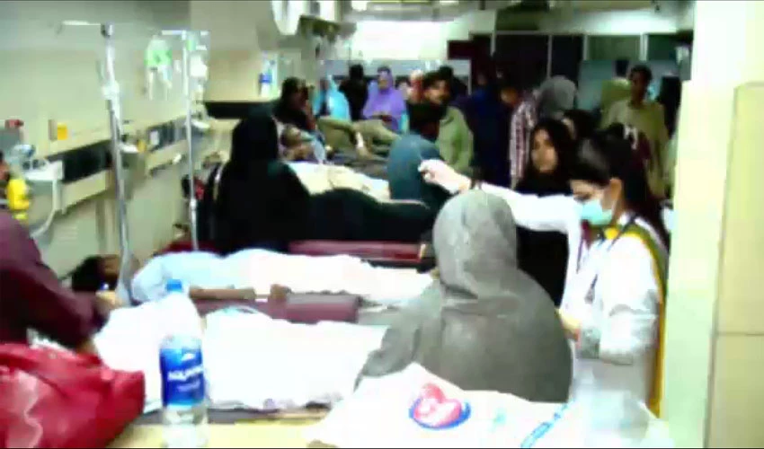 کراچی میں ڈینگی مچھر نے مزید 2 جانیں لے لیں، 388 افراد متاثر