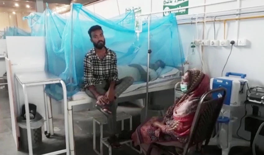 ملک میں ڈینگی مچھر کے وار تیز، ایک روز میں مزید 3 اموات رپورٹ