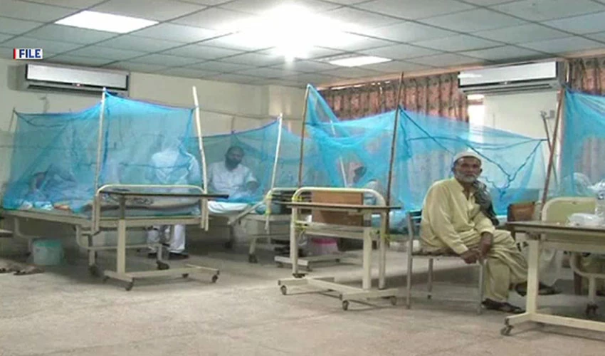 پنجاب میں بھی ڈینگی مچھر نے پر پھیلا لیے، 164 مریض رپورٹ
