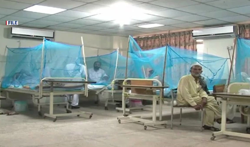 اسلام آباد میں ڈینگی مچھر کے وار تیز، 100 سے زائد افراد کی ڈینگی رپورٹس مثبت
