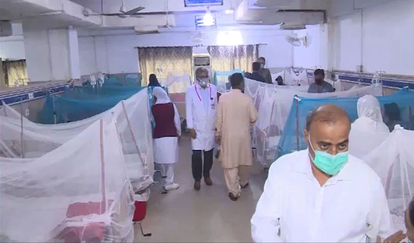 اسلام آباد میں مزید 24 گھنٹے کے دوران 44 افراد کو ڈینگی مچھر نے کاٹ لیا