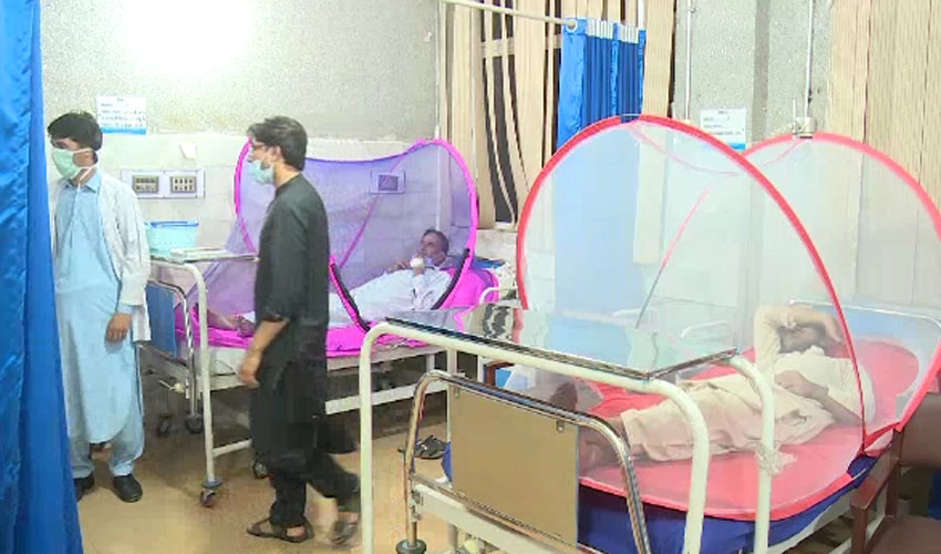 اسلام آباد میں ڈینگی مچھر کے حملے، گزشتہ 24 گھنٹوں میں مزید 37 افراد ڈینگی کا شکار