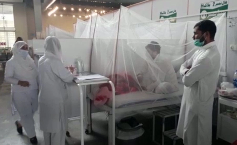 اسلام آباد میں 24 گھنٹوں کے دوران مزید 14 افراد میں ڈینگی وائرس کی تشخیص