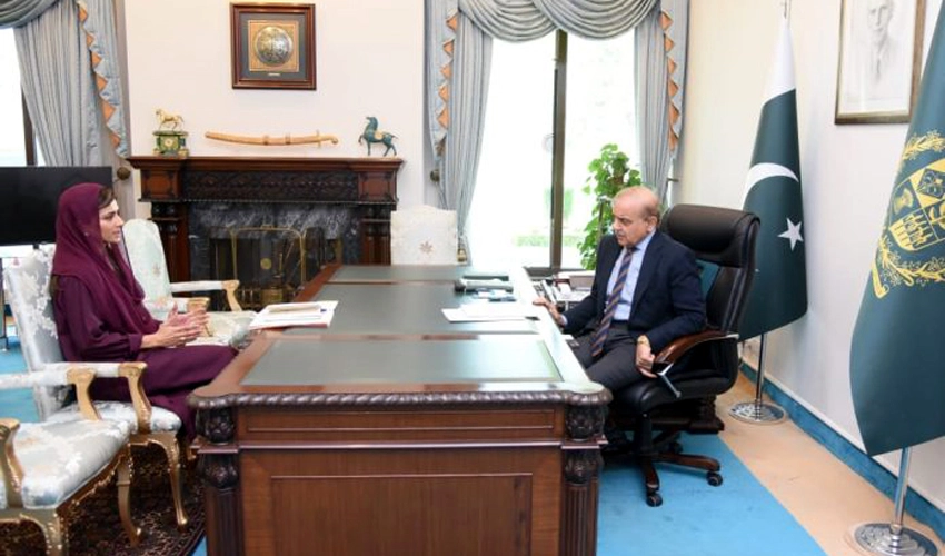 وزیرمملکت خارجہ امور حنا ربانی کھر نے وزیراعظم کو حالیہ دورۂ افغانستان کے حوالے سے بریف کیا