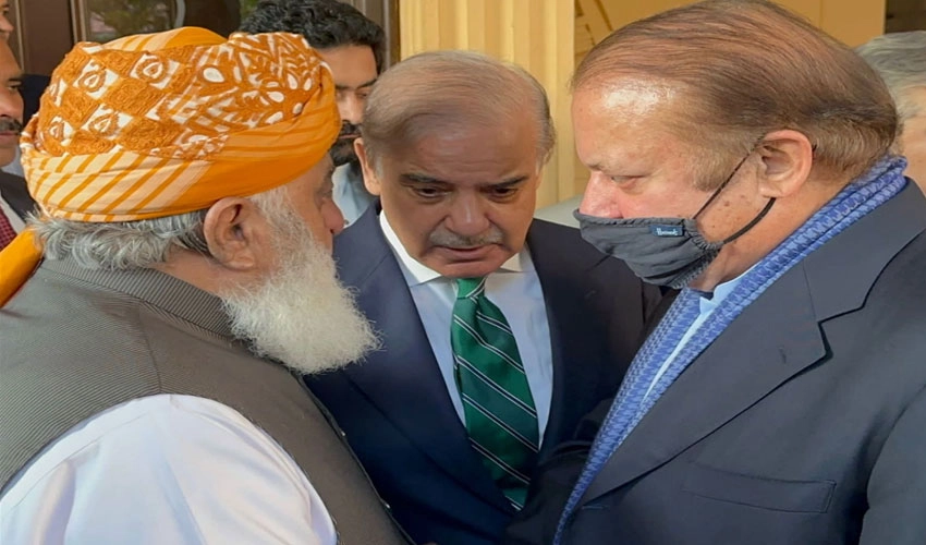 نواز شریف کی فضل الرحمن سے ملاقات، نون لیگ اور جے یو آئی کا ملکر چلنے پر اتفاق